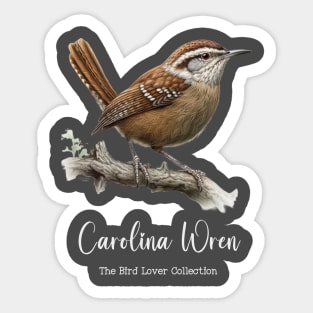 Carolina Wren - The Bird Lover Collection Sticker